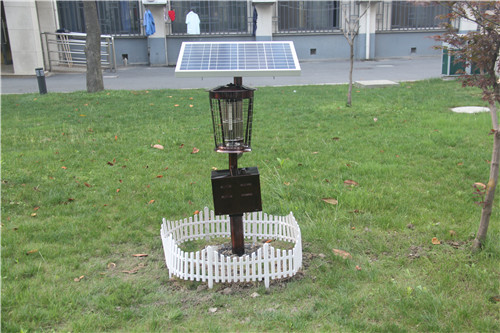 學(xué)校安裝使用太陽(yáng)能滅蚊燈戶(hù)外滅蚊