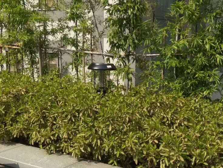 江西某小區安裝尚科戶(hù)外草坪燈效果