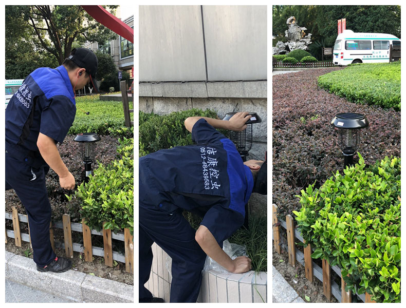 昆山第一人民醫院物業(yè)安裝小區滅蚊燈案例