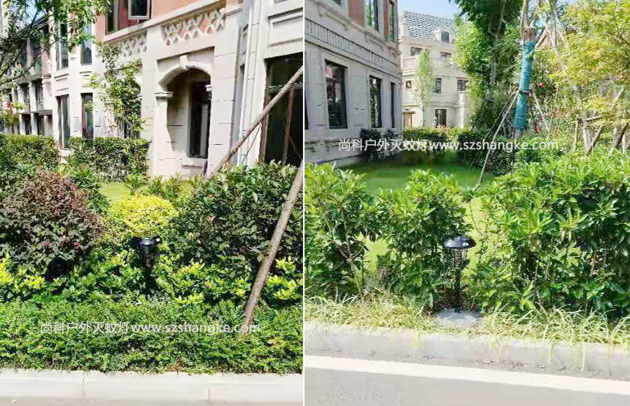 太陽(yáng)能滅蚊燈用于社區滅蚊防蚊