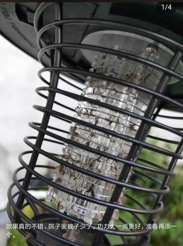 戶(hù)外滅蚊燈電網(wǎng)沾滿(mǎn)蚊子尸體