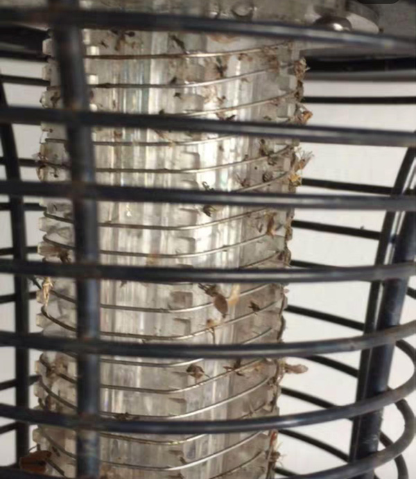 戶(hù)外滅蚊燈效果實(shí)拍