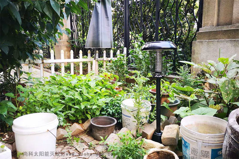 庭院戶(hù)外滅蚊燈效果