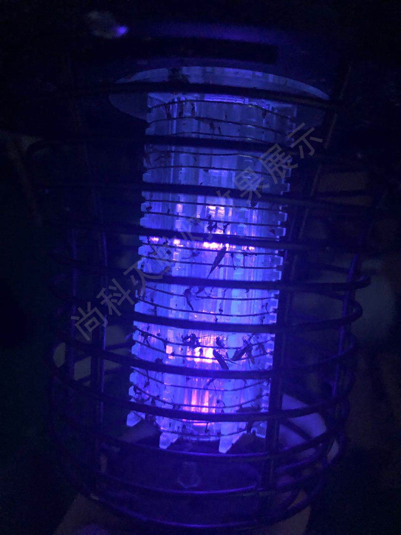 江蘇葡萄果園滅蚊燈殺蟲(chóng)效果實(shí)拍