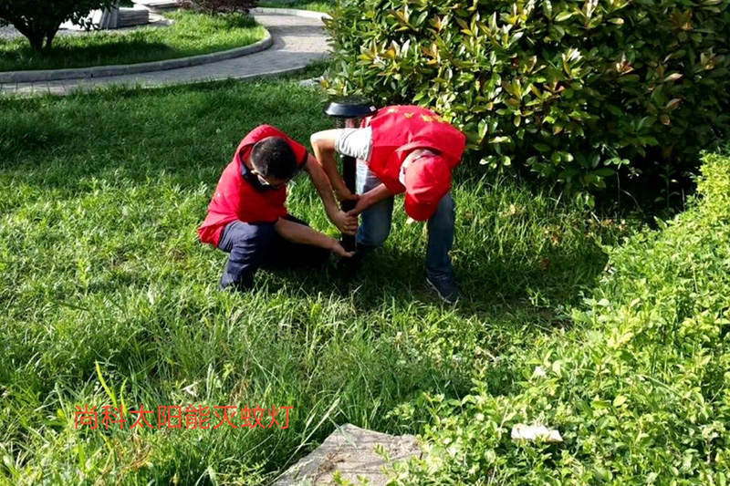 酒店戶(hù)外安裝太陽(yáng)能滅蚊燈
