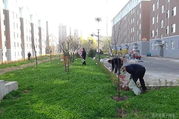 物業(yè)組織清理小區綠化帶垃圾