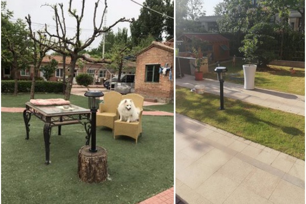 四川病媒仿制項目招標戶(hù)外滅蚊燈