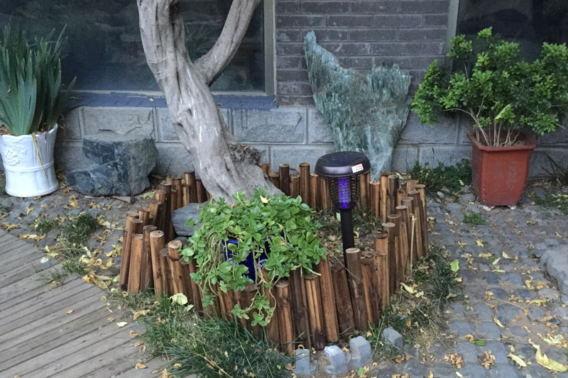 農村庭院滅蚊技巧—太陽(yáng)能滅蚊燈