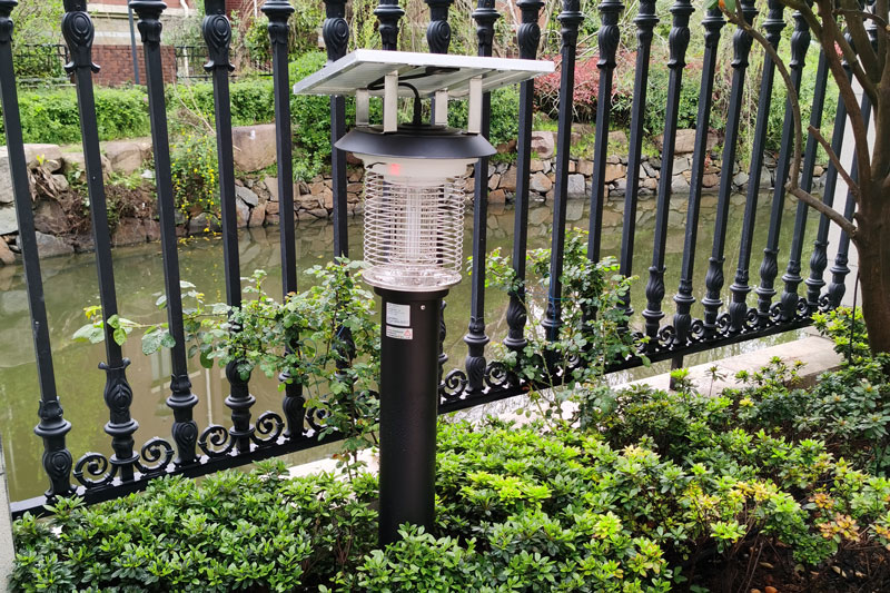 咬人吸血的蚊子都有哪些？如何防治？