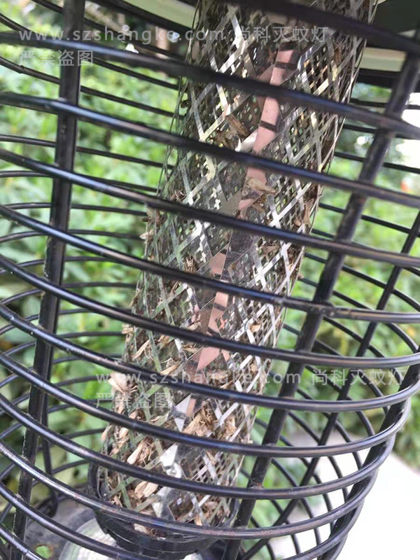 別墅庭院太陽(yáng)能滅蚊燈效果