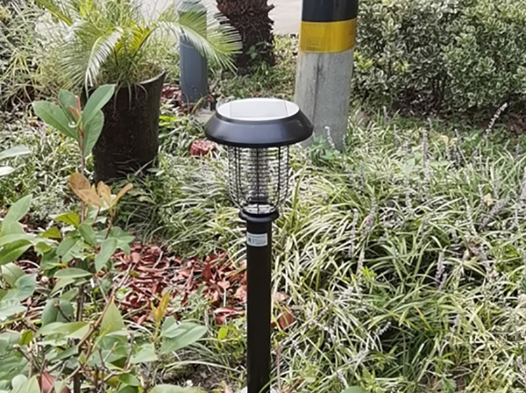 小區里紫色滅蚊燈是什么燈？紫外線(xiàn)滅蚊燈的作用及使用