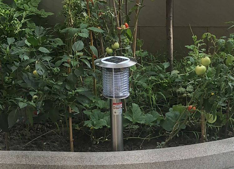 室外滅蚊蟲(chóng)燈的工作原理詳解，了解如何驅趕蚊蟲(chóng)