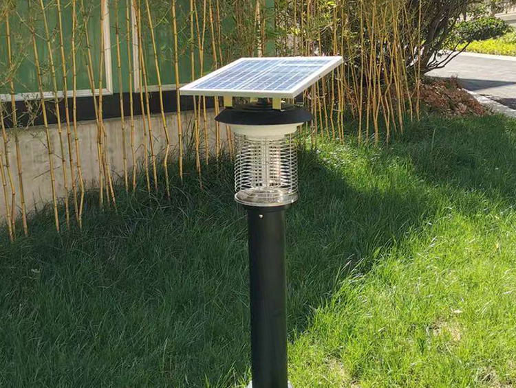 這種戶(hù)外滅蚊神器讓你夏天不再被蚊子困擾